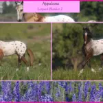 MDBranth's Appaloosas V1.0