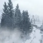 Dense Forests - Grizzlies West V1.0 Beta