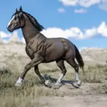 Space Cowgirl's Horse Pack Vol. 5 V1.0