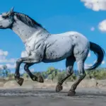 Space Cowgirl's Horse Pack Vol. 3 V1.0