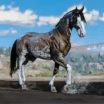 Space Cowgirl's Horse Pack Vol. 3 V1.0