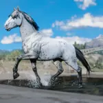 Space Cowgirl's Horse Pack Vol. 3 V1.0