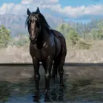 Space Cowgirl's Horse Pack Vol. 3 V1.0