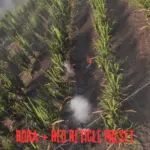 RDR Reshade Preset Bundle V5.18.2025V2