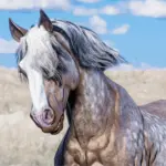 Space Cowgirl's Horse Pack Vol. 2 V1.0