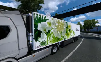 Chereau Trailer by MDModding noviflora skin trailer mods v1.0