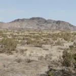 MUNDARING WA Fixed v1.3