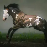 Accurate Criollo V1.0