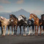 Accurate Criollo V1.0