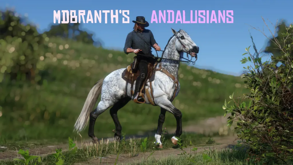 MDBranth's Andalusians