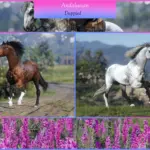 MDBranth's Andalusians