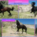 MDBranth's Andalusians