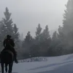 Dense Forests of The Grizzlies West V2.0