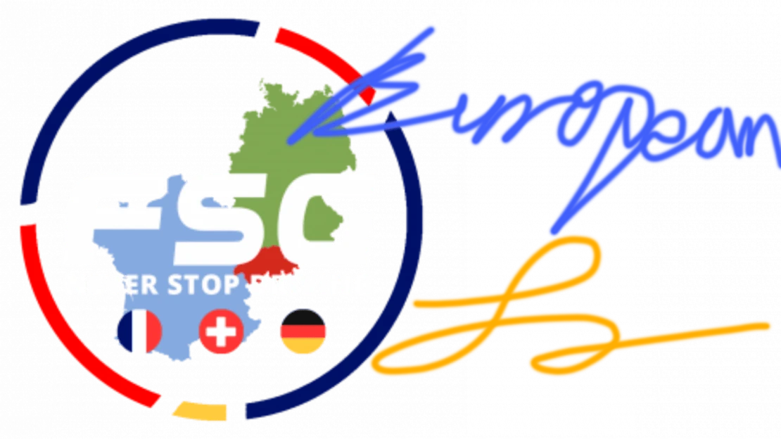 European FSG v1.3 1.54