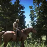 Reshade Play The Game With Real Color Tones