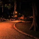 Transform Your Red Dead Redemption 2 Experience with ReShade