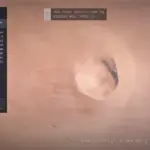 Zoom for Perfect Landing V1.0