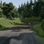 Sega Rally srForest v3.0