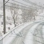 Tsukuba Fruits Line v2.5