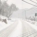 Tsukuba Fruits Line v2.5