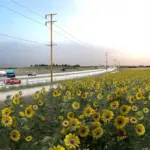 Lighting Improvements Graphics Mod V2.0 (1.55.x)