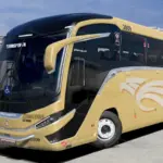 Marcopolo G8 1200 Multi Chassis Bus v1.2 (1.55.x)