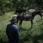 Rare and Race Starting Horse V1.0