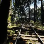 WW1 1918 Argonne Forest Remade V1.0