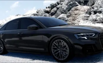 Audi A8/S8 (D5) V1.1 0.36