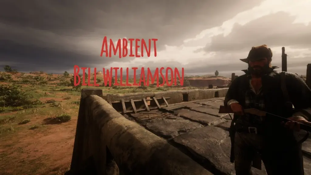 Ambient Bill Williamson V1.0