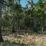 Annesburg Rainforest V1.0