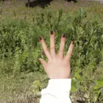 Black Lipstick Abigail V1.0