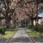 Cherry Blossoms in Saint Denis V1.0
