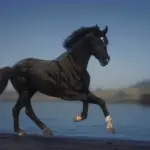 Dareshuri Horse Breed V1.0