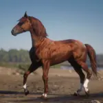 Dareshuri Horse Breed V1.0