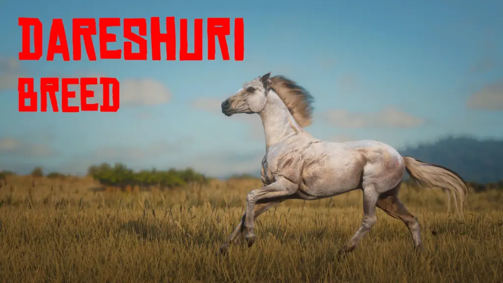 Dareshuri Horse Breed V1.0