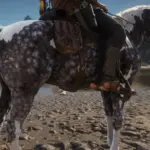 Missouri Fox Trotter with an Arabian face V1.0