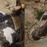 Missouri Fox Trotter with an Arabian face V1.0