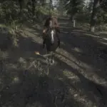 ProjectileCam - Arrows and more V1.0