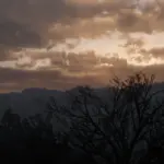 Renewal - Visual Overhaul V1.1