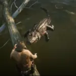 Trunks and Logs Projekt