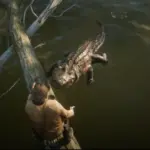 Trunks and Logs Projekt