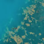 Vibrant Volcanic Biome