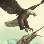 Wildlife Artwork Loading Screens V1.0