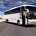 COMIL CAMPIONE v3.65 1.55 1.56