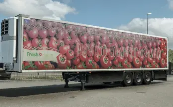 Fresh Market Skin for Schmitz S.KO v1.0