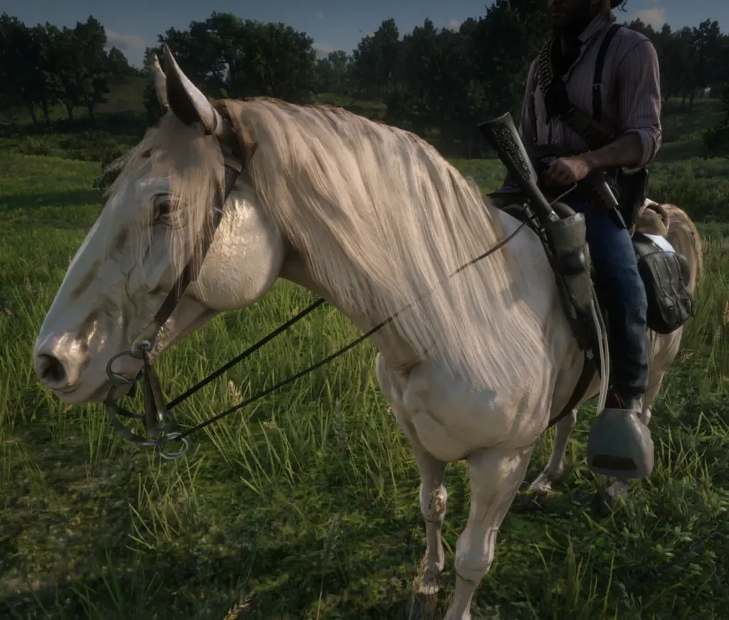 Change the appearance of the Missouri Foxtrotter to that of a Buell without the pink nose (wet effect) V1.0