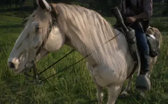 Change the appearance of the Missouri Foxtrotter to that of a Buell without the pink nose (wet effect) V1.0