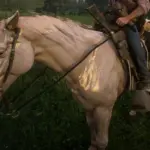 Change the appearance of the Missouri Foxtrotter to that of a Buell without the pink nose (wet effect) V1.0