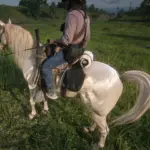 Change the appearance of the Missouri Foxtrotter to that of a Buell without the pink nose (wet effect) V1.0